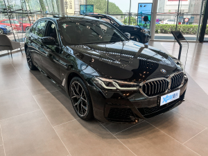 2021Ŀ 530Li  M\b w^