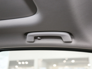 2021Ŀ 325Li M\(yn)(dng)b g