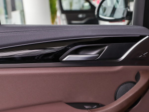 2021Ŀ xDrive25i M\b g