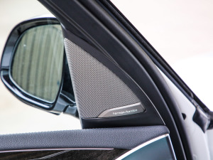 2021Ŀ xDrive30iI(lng) M\b g