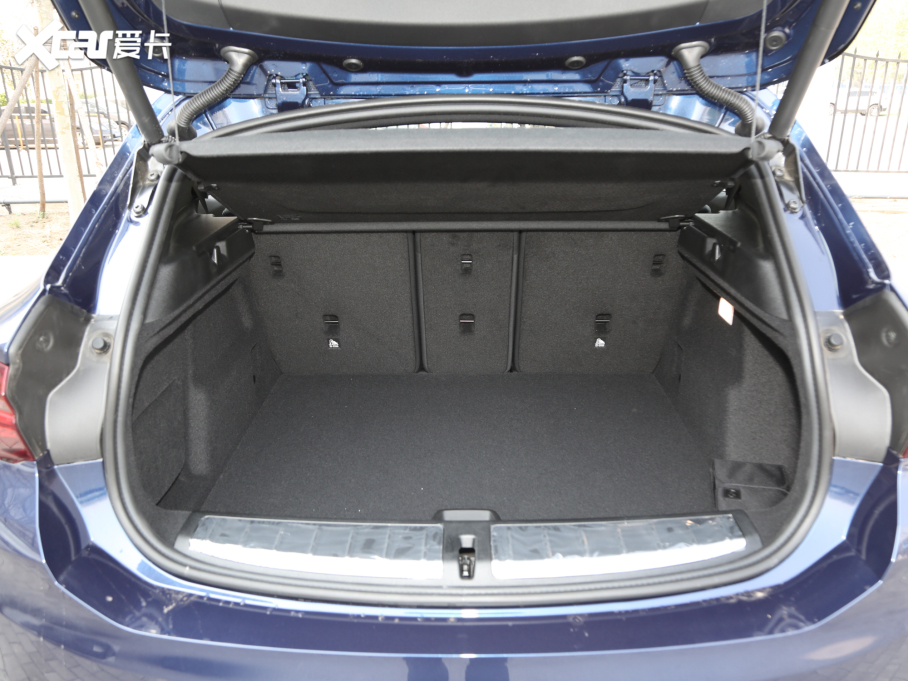 2021RX2 xDrive25i M\b