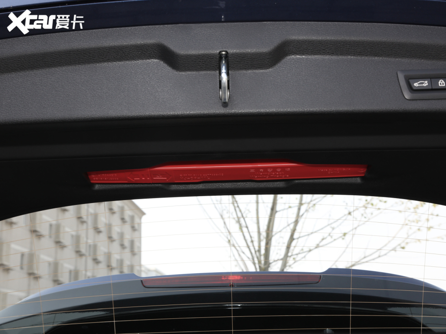 2021RX2 xDrive25i M\b