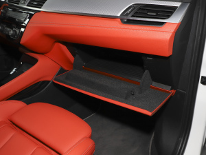 2021xDrive25i M\(yn)b 