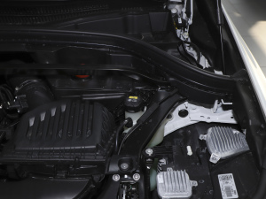 2021款xDrive25i M运动套装 其它