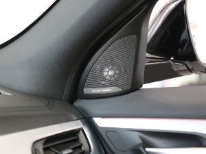 2021sDrive25i ҹ п؅^