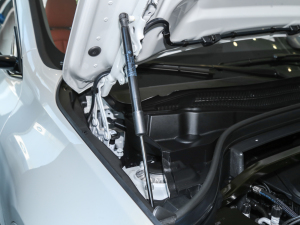 2021款改款 sDrive25i M运动套装 其它