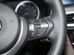 2021Ŀ xDrive25i ҹ п؅^