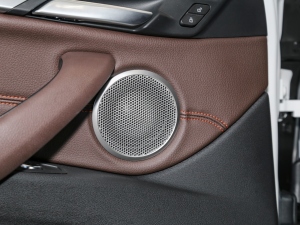 2021Ŀ xDrive25i ҹ п؅^