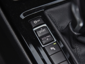 2021Ŀ sDrive25i ҹ  п؅^