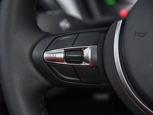 2021Ŀ sDrive25i ҹ  п؅^