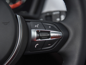 2021Ŀ sDrive25i ҹ  п؅^