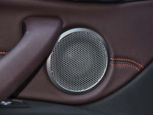 2021Ŀ sDrive25i ҹ  п؅^