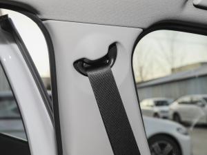 2021Ŀ sDrive25i MԽҰb g