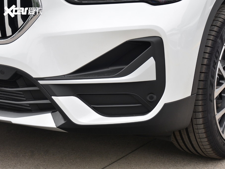 2021RX1 xDrive25Li  