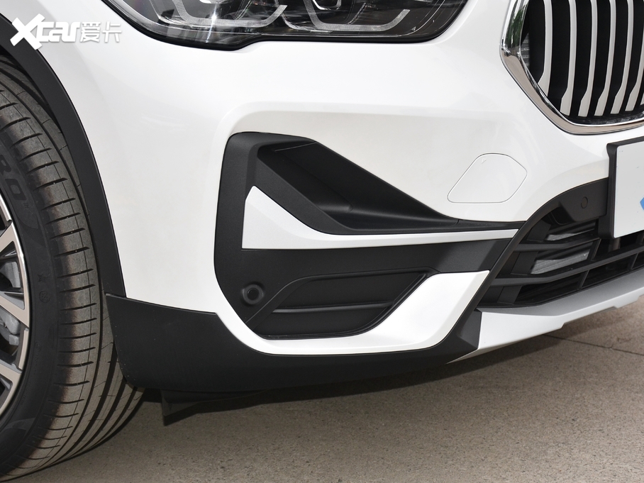 2021RX1 xDrive25Li  