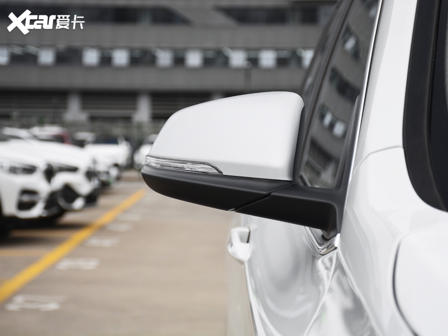 2021RX1 xDrive25Li  