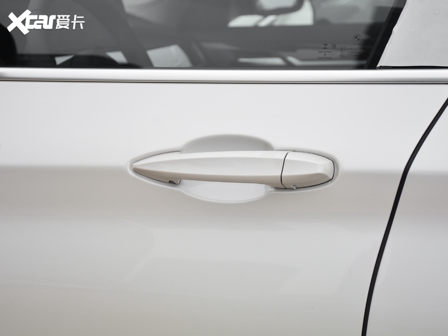 2021RX1 xDrive25Li  