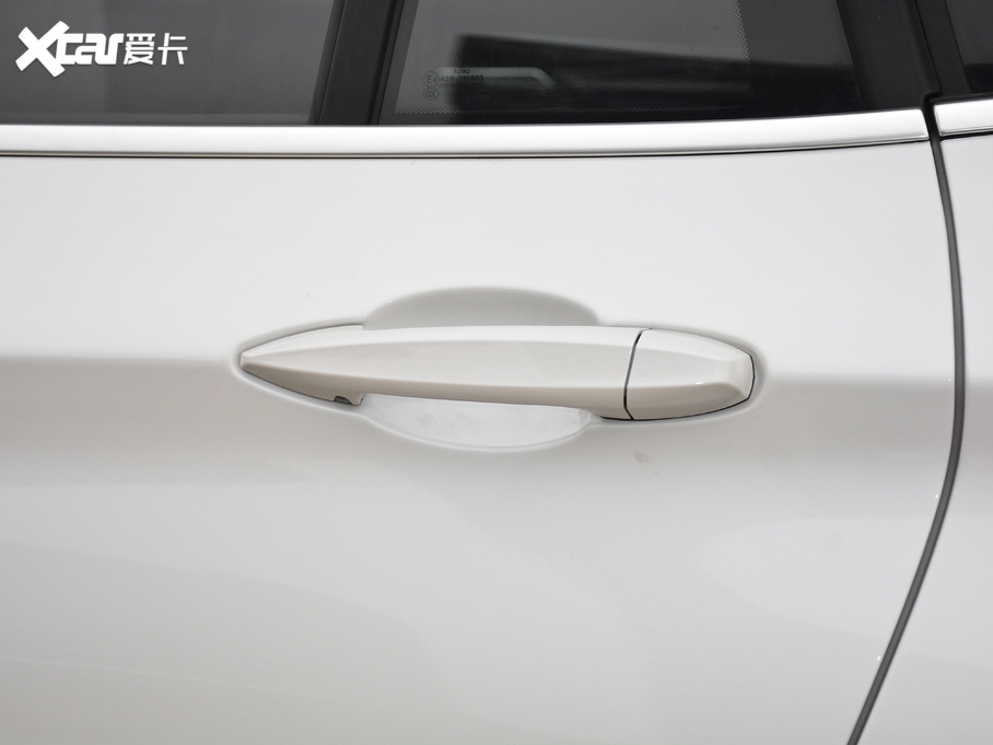 2021RX1 xDrive25Li  