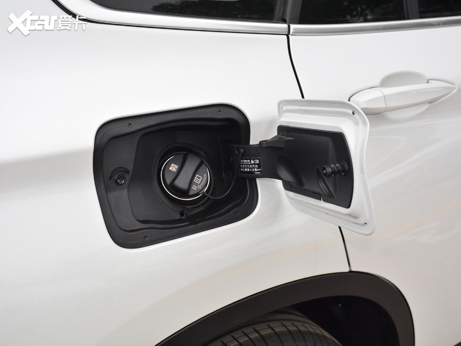 2021RX1 xDrive25Li  