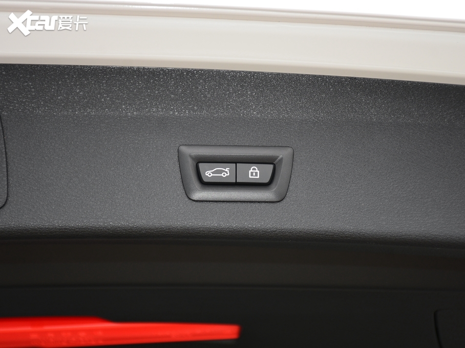 2021RX1 xDrive25Li  