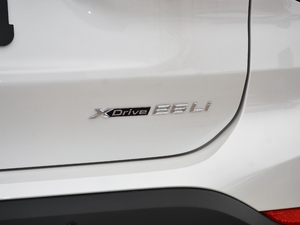 2021款xDrive25Li 尊享型  细节外观
