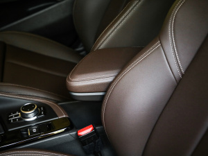 2021款改款 sDrive20Li 尊享型 中央扶手箱