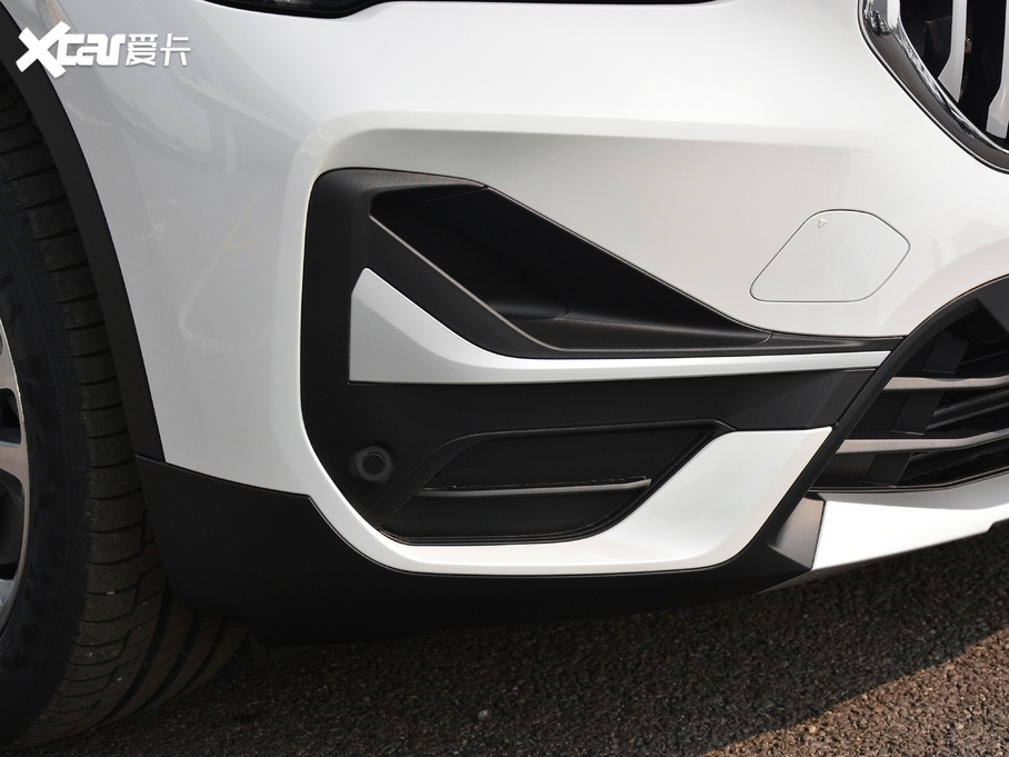 2021RX1Դ xDrive30Le 