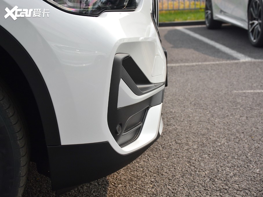 2021RX1Դ xDrive30Le 