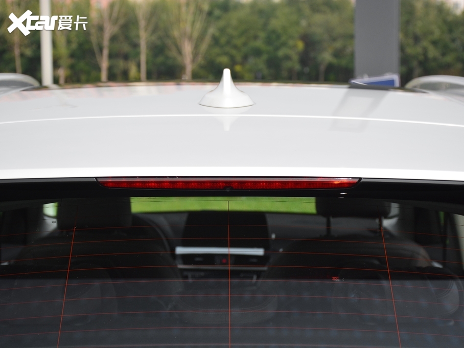 2021RX1Դ xDrive30Le 