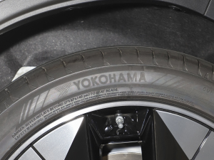 2020Ŀ (chung)I(lng) ݆̥Ʒ