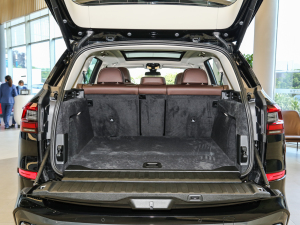 2022xDrive 30Li M\b g