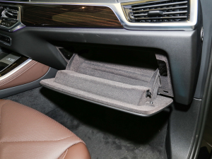 2022xDrive 30Li M\(yn)(dng)b 