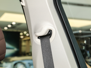 2022xDrive 30Li M\(yn)(dng)b g