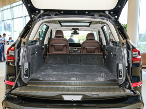 2022xDrive 30Li M\(yn)(dng)b g