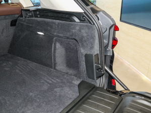 2022xDrive 30Li M\(yn)(dng)b g