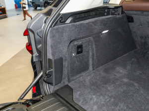 2022xDrive 30Li M\(yn)(dng)b g