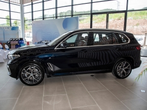2022款xDrive 40Li M运动套装 正侧（左）
