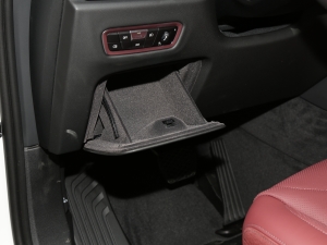 2022xDrive 30Li M\b g