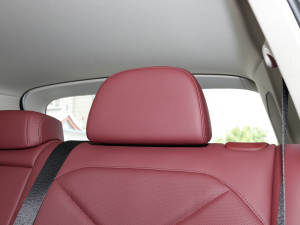 2022xDrive 30Li M\b g