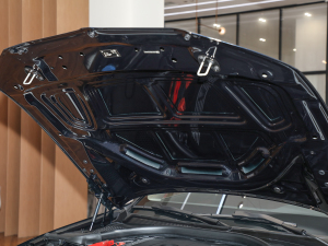 2022325Li M\b lәCœ