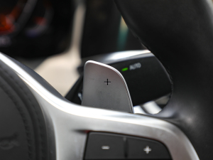 2022Ŀ 330Li xDrive M\ҹb п؅^