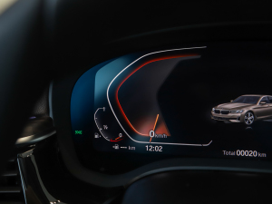 2022530Li  Ab п؅^(q)