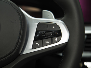 2022Ŀ 530Li  M\(yn)(dng)b п؅^(q)