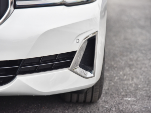 2022Ŀ 530Li I(lng) Ab (ji)^