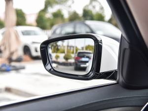 2022Ŀ 530Li I(lng) Ab (ji)^