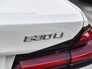 2022Ŀ 530Li I(lng) Ab (ji)^