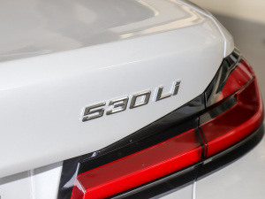 2022Ŀ 530Li  Ab (x)(ji)^