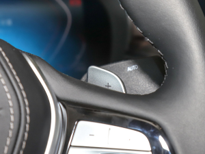 2022Ŀ 530Li  Ab п؅^(q)