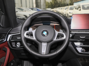 2022款改款 530Li 领先型 M运动套装 方向盘