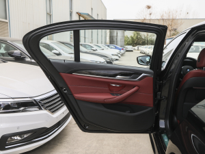 2022Ŀ 530Li I M\b ܇T